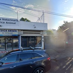 Negocio Medica Animal