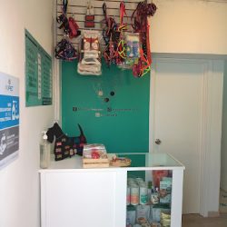 Michican Veterinaria