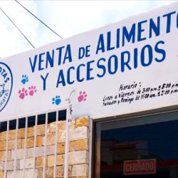 Negocio Mis Mascotas