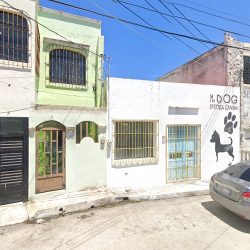 "mister Perro" Consultorio Medico Veterinario