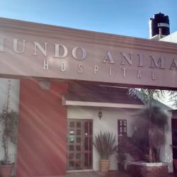 Mundo Animal Clínica Veterinaria