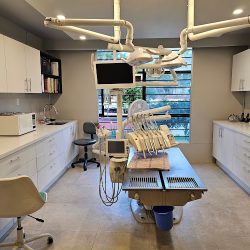 Odontología Veterinaria México