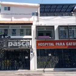 Pascal Hospital Veterinario Y Estética Canina