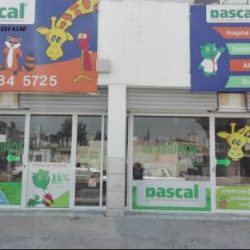 Pascal Hospital Veterinario Y Estética Canina, Sucursal 16 De Septiembre