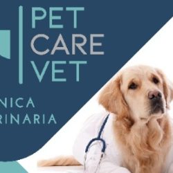 Negocio Pet Care Vet Clínica Veterinaria