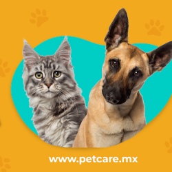 Petcare