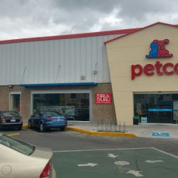 Petco Puebla