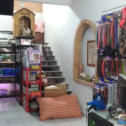 Policlinica Veterinaria