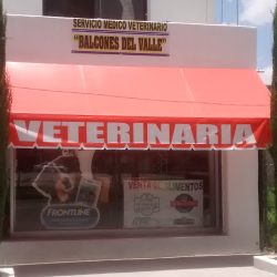 Servicio Médico Veterinario Balcones Del Valle