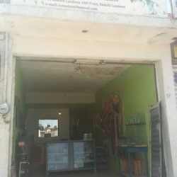 Servicio Medico Veterinario