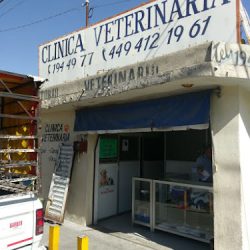 Negocio Servicio Médico Veterinario