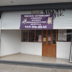 Negocio Servicio Veterinario