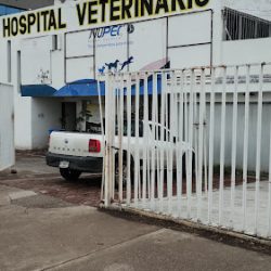 Servicio Veterinario Mundo Animal