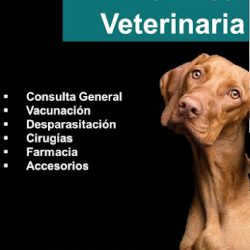 Servicios Médicos Veterinarios