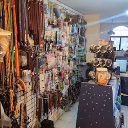 Skylos Clínica Veterinaria & Estética Canina