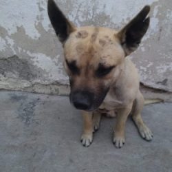 Negocio Taby