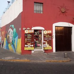 Tienda De Mascotas