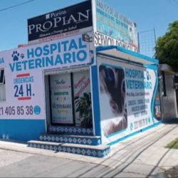Negocio Urgencias Veterinarias 24 Horas
