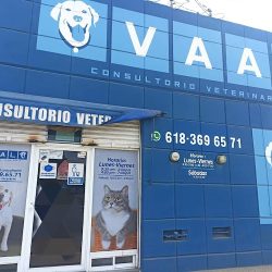 Vaal Consultorio Veterinario