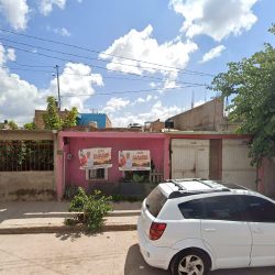 Veterianaria Y Estetica Canina