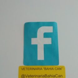 Negocio Veterinaria " BahÍa Can"