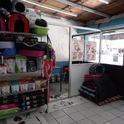 Veterinaria ¨el Campeón¨