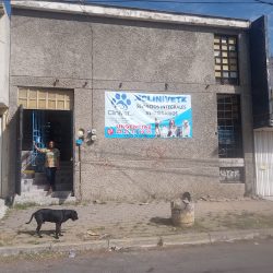 Veterinaria Clinivet