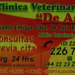 Negocio Veterinaria "de Asis"