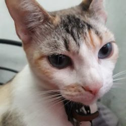 Veterinaria Del Norte