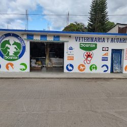 Negocio Veterinaria Dogfish