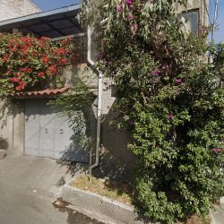 Veterinaria Dos Mascotas