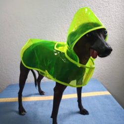 Veterinaria Dr Pets Altamirano