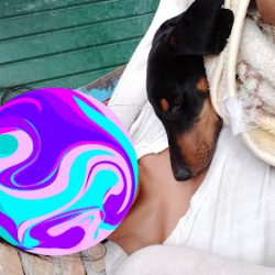 Veterinaria El Charco De Las Ranas