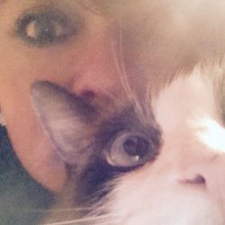 Veterinaria El Gato Azul