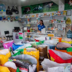 Negocio Veterinaria El Pony