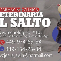 Veterinaria El Salto