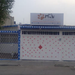 Veterinaria Estetikan