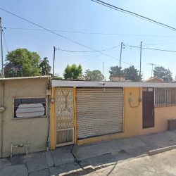 Veterinaria