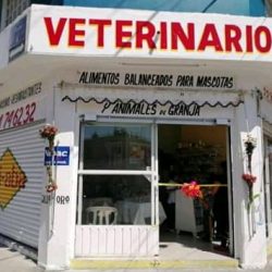 Veterinaria Independencia