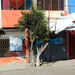 Veterinaria Libertad