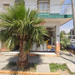 Negocio Veterinaria Loreto (sucursal)