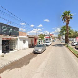 Veterinaria "los Cactus"