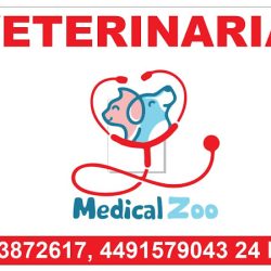 Veterinaria Medical Zoo
