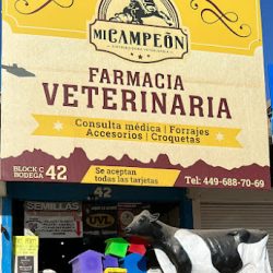 Veterinaria Mi Campeon