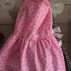 Veterinaria Montalvo Puebla