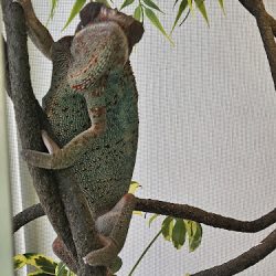 Veterinaria Mundovet