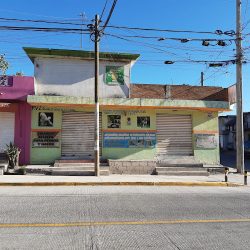 Veterinaria Papantla