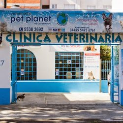 Veterinaria Pet Planet