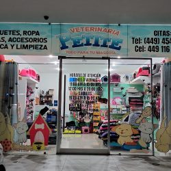 Veterinaria Petite