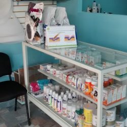 Veterinaria Salud Animal